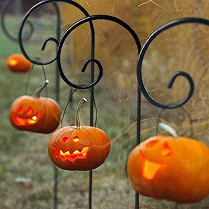 Amazing Pumpkin Carving, Hallowen Ideas, Fun Pumpkins, Easy Halloween Crafts, Garden Wallpaper, Theme Halloween, Fall Halloween Decor, Halloween Photos, Fall Holidays