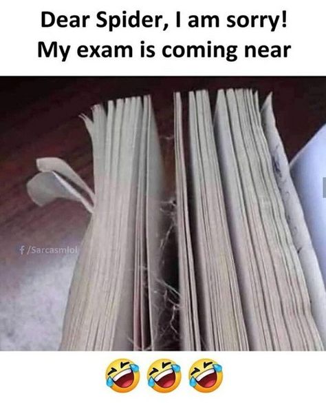 Exam memes. Exam Memes, Strawberry Shortcake Coloring Pages, Exams Memes, Spiders Funny, Exam Quotes Funny, Cute Images With Quotes, School Memes, I Am Sorry, Extremely Funny Jokes