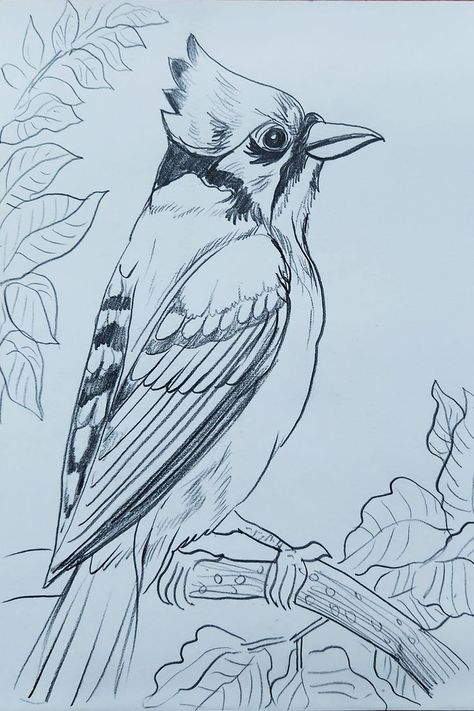 Drawing, Pencil Sketch, Sketching, Bird Drawing Bird Scenery Drawing, Pencil Shading Scenery, Beak Drawing, Bird Scenery, Simple Bird Drawing, Serene Scenery, Shading Tutorial, Draw A Bird, Bird Outline