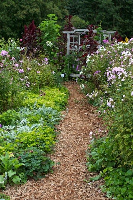 Mulched Garden Path, Bark Mulch Pathway, Mulched Garden Pathways, Bark Pathway Garden Paths, Mulch Garden Path, Bark Path, Mulch Pathway, Garden Bark, Walkways Paths