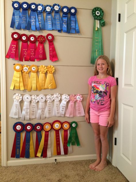 Ribbon Hanging Ideas Horse, How To Display Ribbons, 4-h Ribbon Display Ideas, Fair Ribbon Display Ideas, Ribbon Display Ideas, Horse Ribbon Display Ideas, Horse Ribbons Display Ideas, Swim Ribbons, Horse Ribbon Display