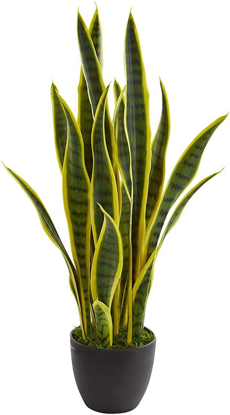 Amazon.com: Nearly Natural 26 in. Sansevieria Artificial Silk Plants, Green: Kitchen & Dining Tanaman Indoor, Sansevieria Plant, Hanging Plants Indoor, Plants Green, Plant Decor Indoor, Silk Plants, Plant Aesthetic, Monstera Plant, 수채화 그림