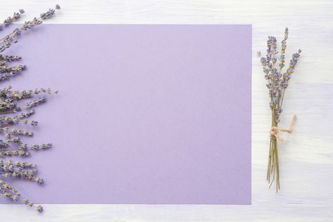 Lavender flower over the purple paper on backdrop Free Photo Yellow Paper Flowers, Wallpaper Powerpoint, Background For Powerpoint Presentation, Flower Picture Frames, Purple Paper, Easy Wall Hanging, Background Powerpoint, Cute Paper, Power Points