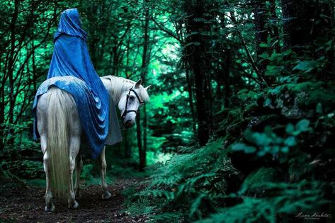 Maid Marian Aesthetic, Marian Aesthetic, Riding Cloak, Cloaked Woman, Woman On A Horse, Moon Goddess Art, Color Wheels, Maid Marian, Paul Rubens