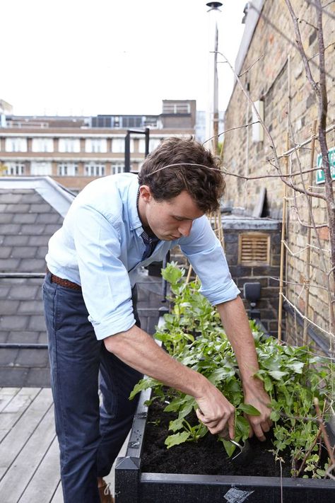 Balcony Garden Ideas | Small city gardens | Garden Ideas | House & Garden Balcony On House, Charlie Mccormick, Garden In Pots, Seasonal Gardening, Urban Gardening Ideas, Allotment Ideas, Small City Garden, City Gardens, Shade House