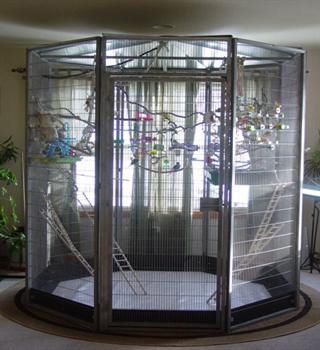 if i get a house and birds again, this is what i want for them! not that small crap Bird Cage Ideas, Big Bird Cage, Parrot Care, Sugar Glider Cage, Large Bird Houses, Small Bird Cage, Pet Bird Cage, Large Bird Cages, Aquarium Terrarium