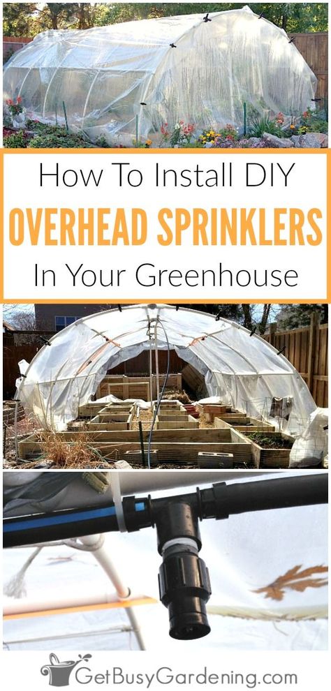 Commercial greenhouse irrigation systems are crazy expensive to buy! Learn how to design and install your own DIY overhead greenhouse watering system. Greenhouse Irrigation, Irrigation System Diy, Commercial Greenhouse, Green House Design, Film Technique, Irrigation Systems, Greenhouse Growing, Small Greenhouse, Greenhouse Plans