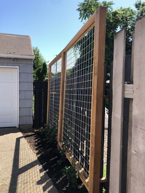 High Trellis Ideas, Wood Trellis Wall, Greenery Fence Privacy Screens, Building A Trellis Diy, Trellis On Retaining Wall, Exterior Trellis On House, Vine Trellis Privacy Screen, Privacy Fence Trellis, Metal Trellis Ideas For Privacy