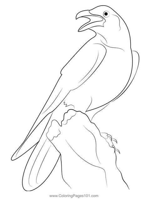 Standing Crow Coloring Page Crow Coloring Page, Crow Outline, Crow Pictures, Fabric Collage, Coloring Pages Printable, Page Ideas, Crows, Colouring Pages, Free Kids