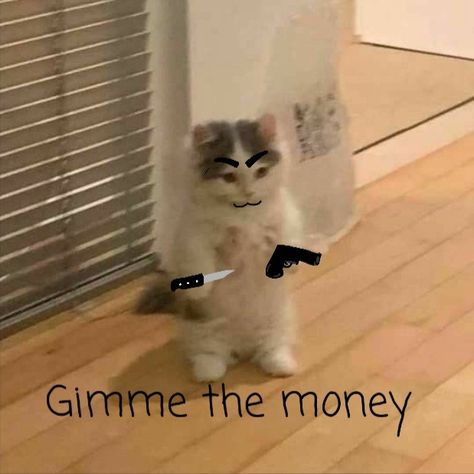 Give Me Money Reaction Pic, Memes Money Funny, Meme Money, Money Meme, Give Me My Money, Snapchat Stickers, Snapchat Funny, Funny Doodles, Send Money