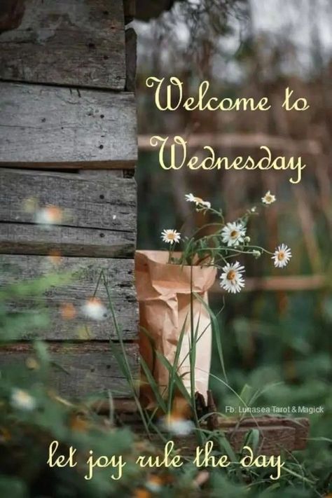 Beautiful Wednesday Morning, Get Close To God, Wednesday Morning Greetings, Good Morning Rainy Day, Happy Wednesday Images, Wednesday Morning Quotes, Draw Near To God, Beautiful Wednesday, Wednesday Greetings