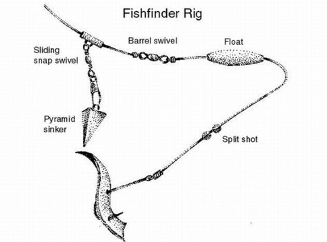 Flounder rig Bottom Fishing Rigs, Saltwater Fishing Gear, Fishing Basics, Saltwater Fishing Lures, Bottom Fishing, Fishing 101, Salt Water Fishing, Fly Fishing Tips, Bass Fishing Lures