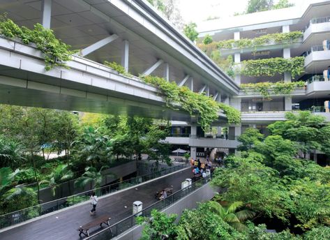 Biophilic Design is King at This Singapore Hospital - gb&d Outdoor Bridges, Hospital Waiting Room, Hospital Architecture, Biophilic Design, Hospital Design, Natural Ventilation, Nature Inspired Design, Built Environment, Green Building