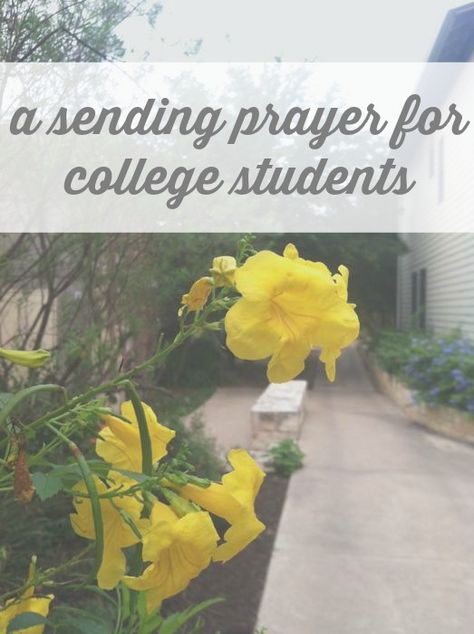 Looking for prayers for college students? Here is a simple prayer to offer up for your student heading off to college for the first time. Prayer For Students, Prayer For Our Children, College Mom, College Survival Guide, Prayer For My Children, Sending Prayers, School Prayer, Mom Prayers, Going Back To College