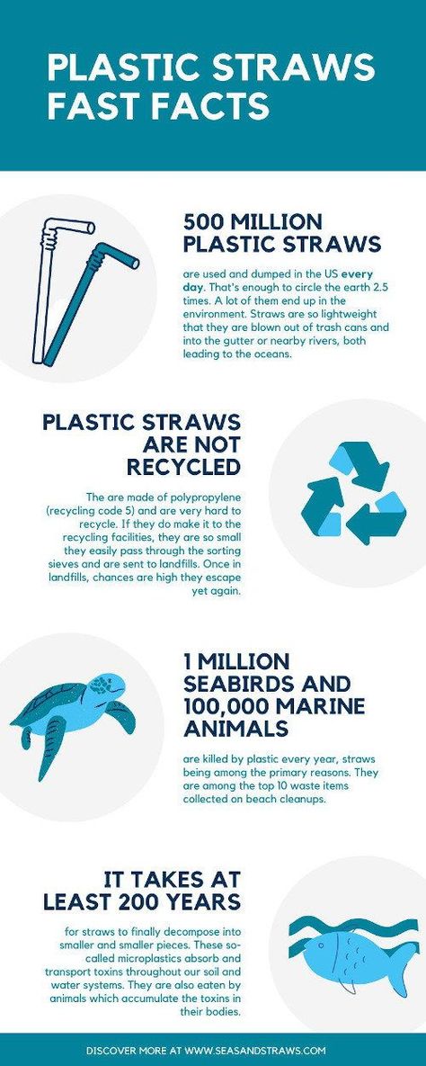 Beach Cleanup, Recycling Facility, Eco Hotel, Green Travel, Fast Facts, Plastic Pollution, Christmas Door Decorations, Save Earth, What You Can Do