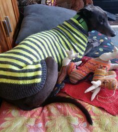 Stripey Greyhound Sweater pattern by Houndtees Greyhound Coat Pattern, Greyhound Dog Sweater, Greyhound Sweater, Greyhounds Clothes, Greyhound Dogs, Green Dog Collar, Dog Collar Charms, Velvet Dog Collar, Personalized Leather Dog Collar