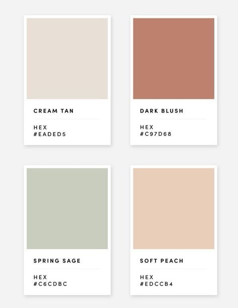 Tan Beige Color Palette, Peach Cream Color Palette, Neutral Pastel Aesthetic, Serenity Color Wallpaper, Aesthetic Colour Schemes, Provence Color Palette, Green Pink Beige Color Palette, April Wedding Color Palette, Neutral Color Pallete Aesthetic