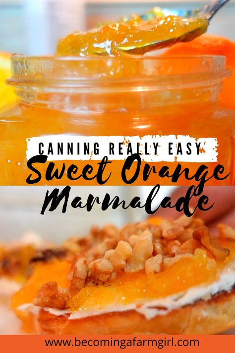 Homemade Orange Marmalade Recipe, Nectarine Jam, Canning Jams, Orange Marmalade Recipe, Fruit Jam Recipes, Fruit Butters, Orange Jam, Marmalade Recipe, Canning Recipe