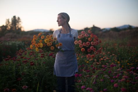 Fall Flower Farming Intensive Flower Farming, Pig Farming, Flower Farmer, Botanical Beauty, Seasonal Flowers, On The Farm, Flower Farm, Fall Flowers, The Farm