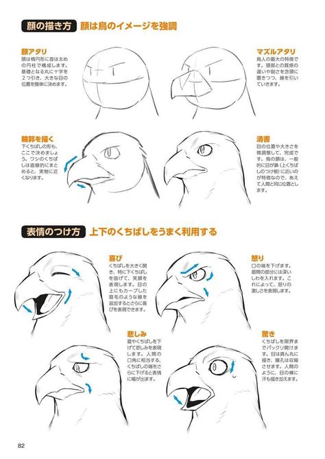 Beak Reference Drawing, Bird Beak Drawing Reference, How To Draw Bird People, Anthro Bird Reference, Cartoon Bird Expressions, Bird Expressions Character Design, Bird Anatomy Reference, Bird Face Drawing, Bird Tutorial Drawing