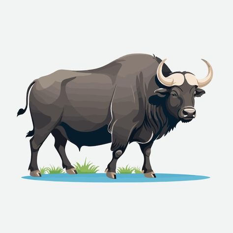 Buffalo Vector, Buffalo Clipart, Buffalo Cartoon, About Water, Background Images Wallpapers, Water Buffalo, Cartoon Clip Art, Premium Vector, Background Images