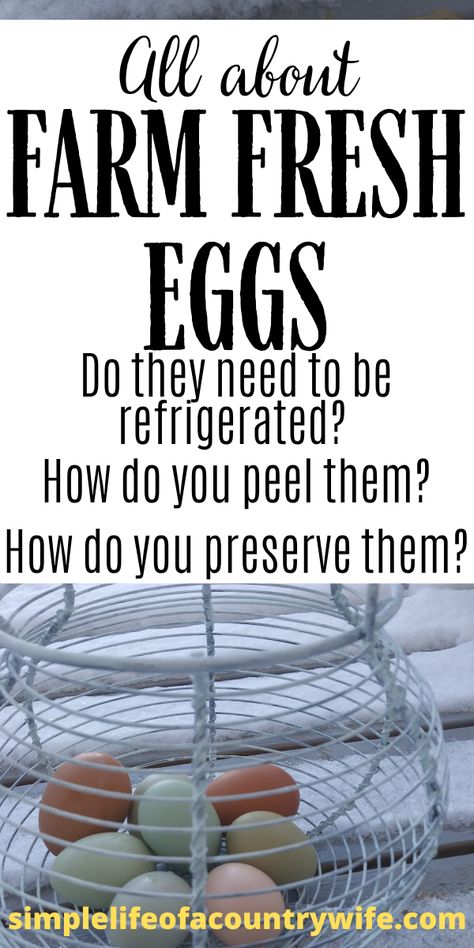 How To Store Farm Fresh Eggs, How To Store Fresh Chicken Eggs, How To Store Fresh Eggs, How To Preserve Fresh Eggs, Farm Fresh Eggs Storing, Storing Fresh Eggs, Ducks Farm, Egg Collecting Basket, Preserving Eggs