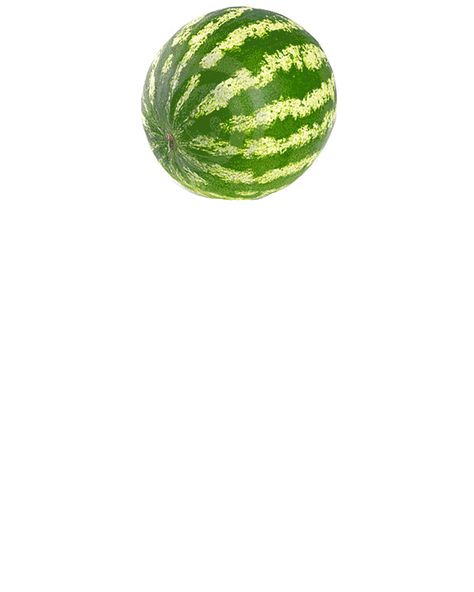 Exploding Watermelon, Share Gif, Black People, Animated Gif, Watermelon, Plant Leaves, Most Popular, Gif, Black