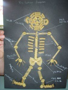 Make kids' science classes extra fun with these Silly Pasta Skeletons. This fun craft will have them learning while they get to do something that they will enjoy. They will have a blast making their own skeleton figures out of fun little noodles. Skeleton Project For School, Pasta Skeleton, Skeleton Project, Skeleton For Kids, Skeletal System Activities, Relief Teaching Ideas, Project For School, Skeleton Craft, Adornos Halloween