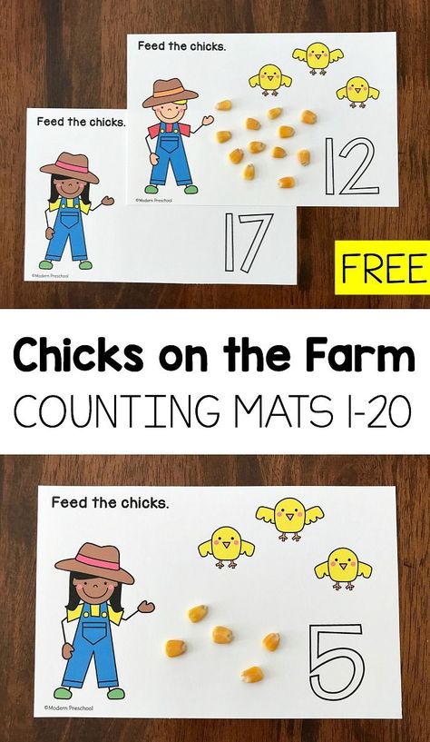 Feed the Chicks on the Farm! A great way to review counting this fall from 1-20 with preschool and kindergarten kids!  #fallunit #farmunit Farm Math Activities, Farm Math, Farm Activities Preschool, Farm Animals Preschool, Farm Lessons, Counting Mats, Farm Animals Activities, Farm Theme Preschool, Farm Unit