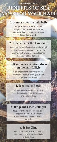 Seamoss For Hair Growth, Sea Moss Hair Growth, Sea Moss Benefits Skin Care, Health Benefits Of Sea Moss, Sea Moss For Hair Growth, Sea Moss Benefits For Hair, Sea Moss Hair Mask, Irish Sea Moss Benefits, Sea Moss For Hair