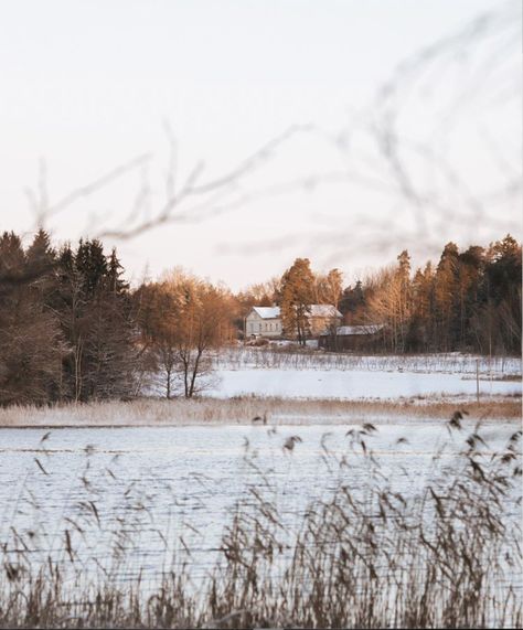 Snowy Weather, Nordic Living, One Of Those Days, Artist House, Those Days, Winter Solstice, Scandinavian Home, Winter Day, Winter Time