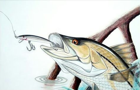 Snook Snook Fish Art, Snook Tattoo, Round Paintings, Skull Ideas, Fish Sketch, Tattoo Pictures, Initial Tattoo, Corn Hole, Fish Art