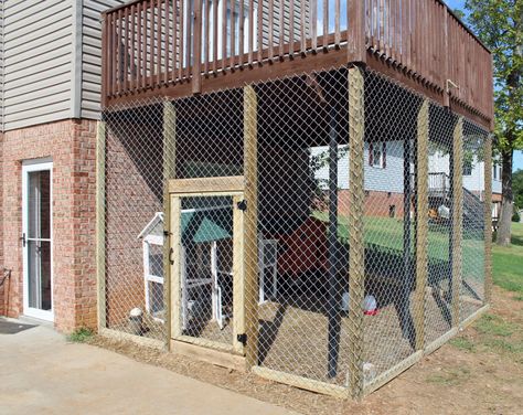 Dog Kennel Under Deck, Diy Dog Run, Outdoor Dog Area, Porch Enclosure, Kennel Ideas Outdoor, Deck Enclosures, Dog Enclosure, Urban Chicken Farming, Dog Boarding Kennels