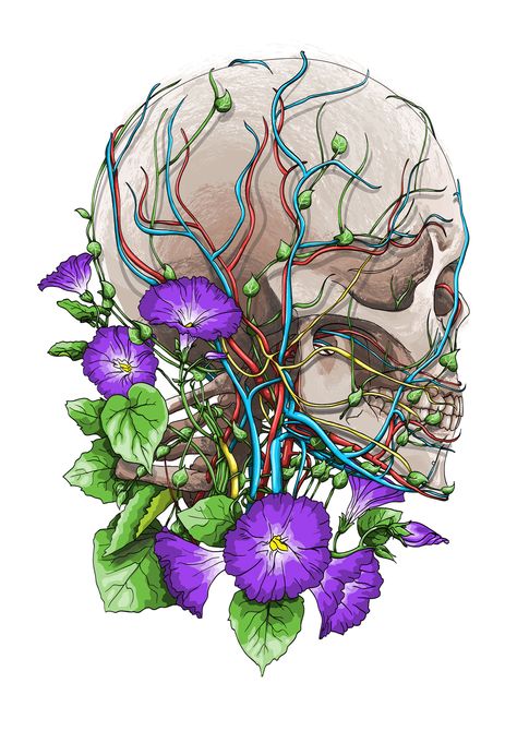 Works for CODEX ANATOMICUS Medical Art Creative, Codex Anatomicus, Anatomy Artwork, Flower Anatomy, Medical Artwork, Skull Painting, Floral Drawing, Medical Art, Art Competitions