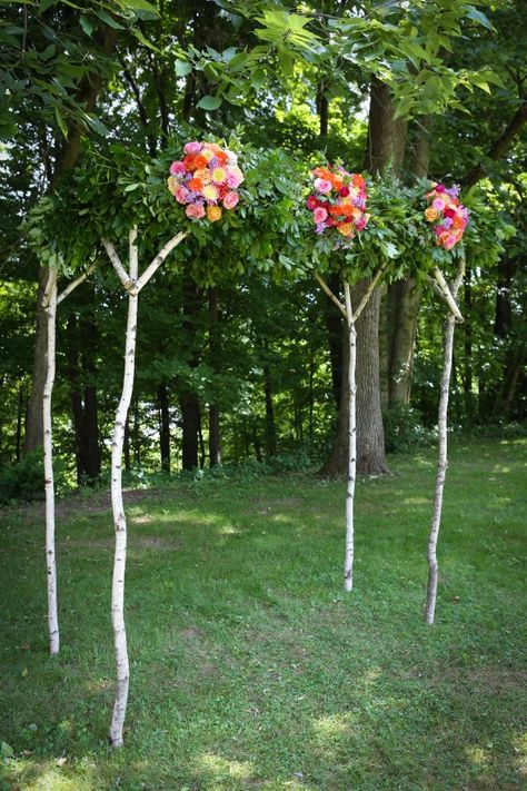 Birch Arbor For Wedding Arbor For Wedding, Makeup Celeste, Birch Arbor, Tarot Ideas, Valley Photography, Birch Wedding, Marriage Inspiration, Wedding Extras, Green Cottage