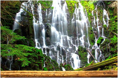 Ramona Falls in Oregon, located on Mt. Hood.....how breathtaking, huh? I want to go there!!! Tourism Images, Ramona Falls, 7 Natural Wonders, Oregon Waterfalls, Fall Nature, Mount Hood, Waterfall Hikes, Mt Hood, Oregon Usa