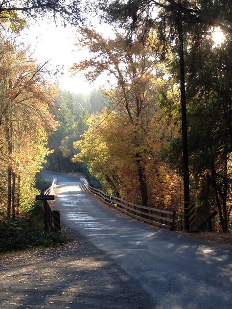 Anderson Valley, California California Autumn, Tis Autumn, Fall California, California Fall, Mendocino California, Fall Aesthetics, Redding California, Berkeley California, Fall 23