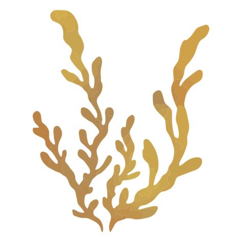 Beautiful seaweed  in the waters PNG Design Seaweed Design, Design Practice, Create T Shirt, Design Ad, Png Design, Black Wallpaper, Svg Design, Png Image, T Shirt Design