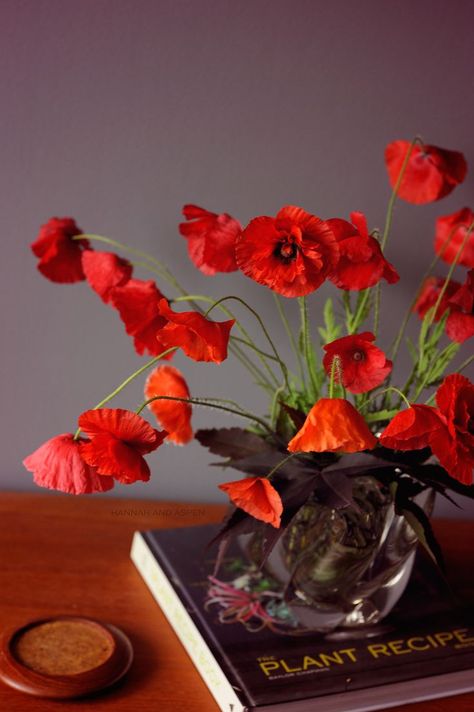 Red Poppy Flower Bouquet, Red Poppy Bouquet, Poppy Red Wedding, Poppy Flower Bouquet, Poppies Bouquet, Poppy Wedding, Table Florals, Nature Reference, Poppy Bouquet