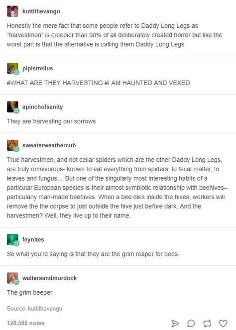 This tale of the "grim reaper for bees": Pillsbury Dough, Funny Tumblr Posts, The Grim, The More You Know, What’s Going On, Tumblr Funny, Tumblr Posts, Long Legs, Funny Posts