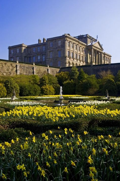 English Oak Tree, Lyme Park, Interactive Artwork, Manor Homes, Dutch Gardens, Cheshire England, Country Cottages, Castles In Ireland, English Castles