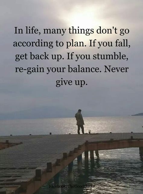 If You Fall Get Back Up Quotes, 2024 Quotes, Never Give Up Quotes, Giving Up Quotes, Never Back Down, Get Back Up, Up Quotes, Life Words, Give Back