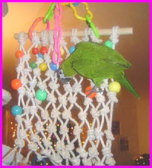 String Bird Climbing Net - PetDIYs.com Bird Toys Diy, Bird Enrichment, Bird Games, Zoo Enrichment, Homemade Bird Toys, Diy Parrot Toys, Eclectus Parrot, Parakeet Toys, Diy Bird Toys