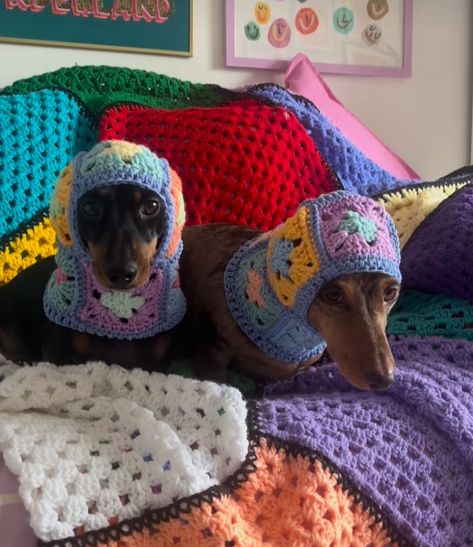 Crochet Project For Dogs, Crochet Dog Balaclava, Crochet Dog Patterns Clothes, Crochet Dog Projects, Dog Crochet Ideas, Crochet Bandana For Dogs, Things To Crochet For Dogs, Crochet Clothes For Cats, Dog Crochet Accessories