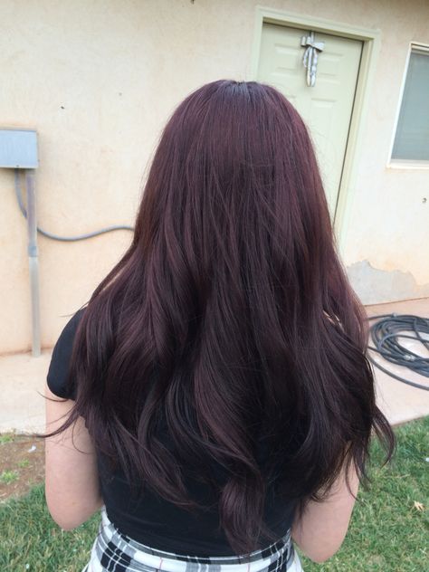 Cherry Black Red Hair, Black Burgundy Hair Color, Subtle Purple Hair Highlights, Dark Plum Brown Hair Color, Berry Black Hair, Red Brown Hair Color Asian, Tinted Dark Hair, Dark Brown Plum Hair, Dark Red Almost Black Hair