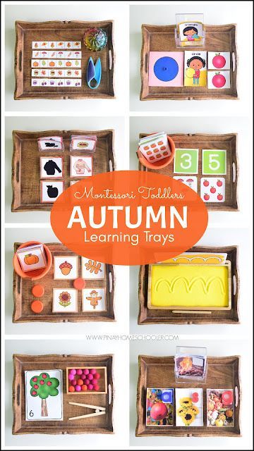 Montessori Autumn Toddler Learning Tray Ideas Montessori Trays Preschool, Montessori Tray Activities, Mini Pumpkin Activities Preschool, Harvest Montessori Activities, Fall Toddler Montessori Activities, September Montessori Shelves, Montessori Activities Elementary, Montessori Fall Activities Preschool, Montessori November Ideas