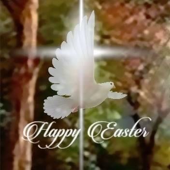 Easter Pictures, Floral Poster, Good Morning Greetings, Morning Greeting, Happy Easter, Easter, Floral