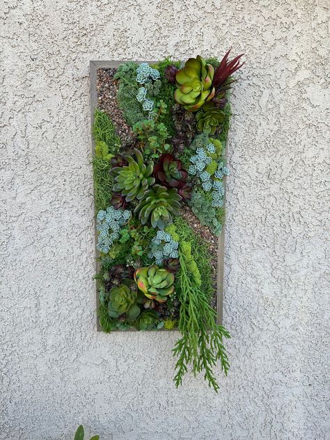 12 Inches Wide.  24 Inches Tall.  3 Inches Deep. This Carefree faux wall garden will brighten up any space.  Carefully made with Real Touch Succulents, and they DO look real!!   Delicately made to create a captivating garden. An interesting addition to any office, bathroom, family room or entryway. Also safe for a covered outside space.  NO Watering necessary!! Just hang and enjoy! Ready to hang. Please read store policies before ordering, thank you. Faux Succulent Wall, Garden Orbs, Vertical Plant Wall, Succulent Wall Hanging, Succulent Wall Garden, Bathroom Family, Faux Wall, Succulent Wall Planter, Garden Vertical