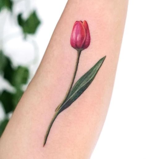 Tattoos Tulip, Tulip Tattoos, Arm Wrap Tattoo, Flower Tattoo Stencils, Lily Flower Tattoos, Tulip Tattoo, Wrap Tattoo, Bouquet Tattoo, Flower Tattoo Arm