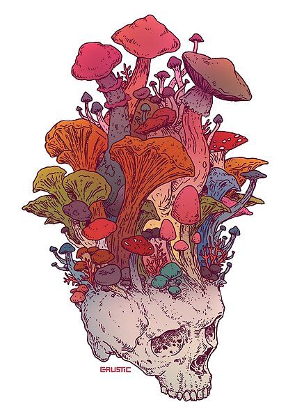 Skull Mushroom, Fungi Art, Mushroom Poster, Skull Sleeve Tattoos, Skull Sleeve, Psychadelic Art, Nature Art Prints, Pink Art Print, Mushroom Art